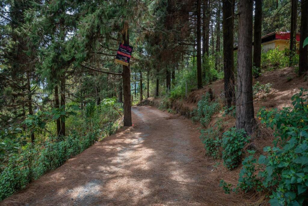 The Hill Story, Entire Chalet, Offbeat,Cozy Mussoorie Zewnętrze zdjęcie