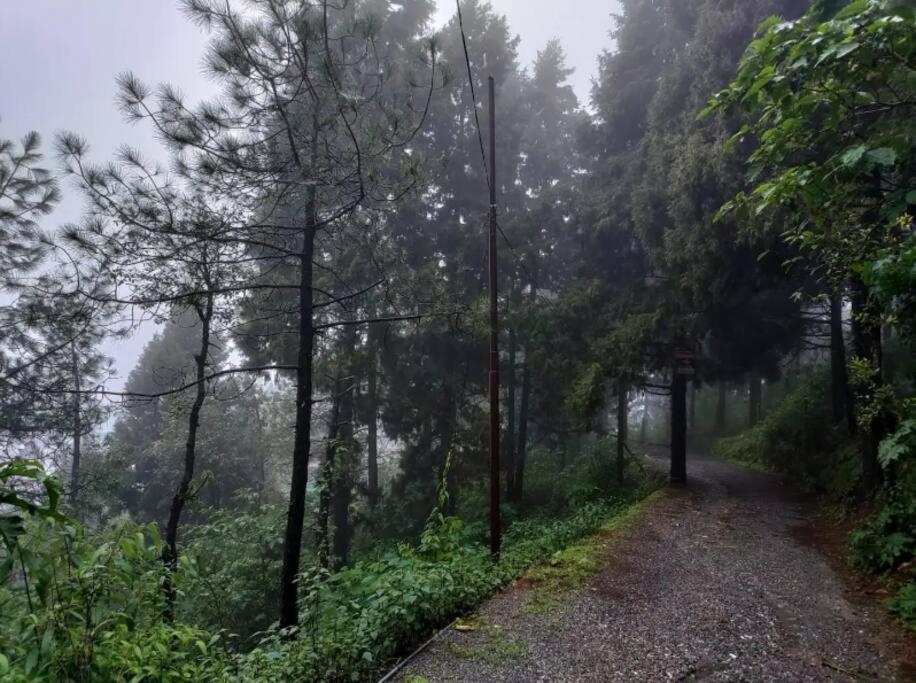 The Hill Story, Entire Chalet, Offbeat,Cozy Mussoorie Zewnętrze zdjęcie