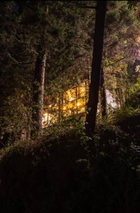 The Hill Story, Entire Chalet, Offbeat,Cozy Mussoorie Zewnętrze zdjęcie