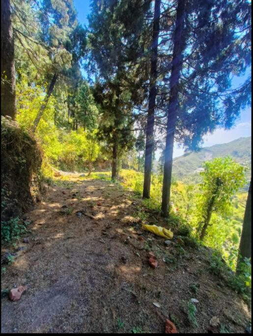 The Hill Story, Entire Chalet, Offbeat,Cozy Mussoorie Zewnętrze zdjęcie